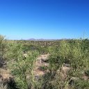 arizona from kells camera - IMG_3213